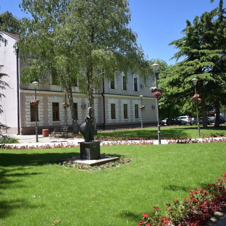 U izradi strategija razvoja Novog Sada i još nekoliko opština pod nazivom: „Zelena ulaganja, pravedna energija“