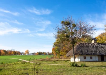 Foto: Shutterstock.com/Sergio Kovalov