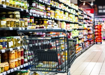 Foto: Shutterstock.com/monticello, ilustracija