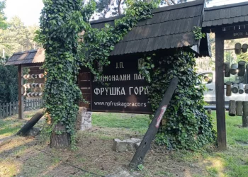 Foto: TANJUG/SAŠKA DROBNJAK
