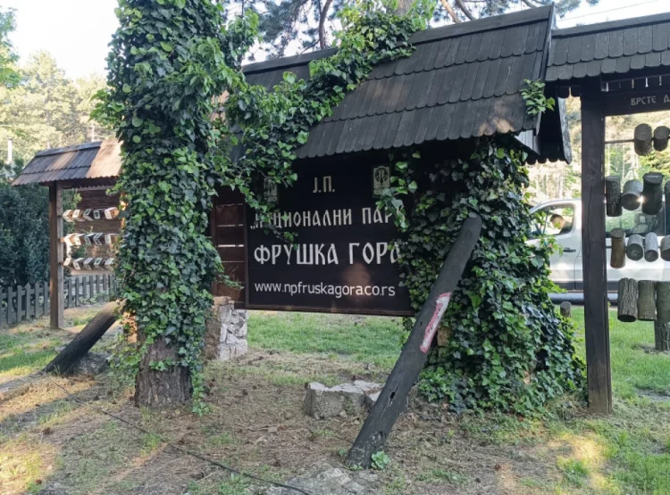 Фото: ТАЊУГ/САШКА ДРОБЊАК