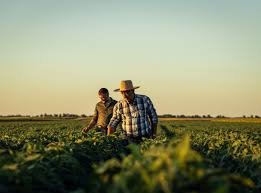 Фото: Схуттерстоцк.цом/ Зоран Зеремски, илустрација