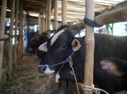 Foto: shutterstock.com/Wulandari Wulandari, ilustracija