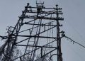 Foto: TANJUG/Elektrodistribucija Srbije/ Centar za odnose s javnošću