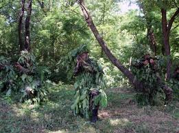 Foto: TANJUG/MINISTARSTVO ODBRANE I VOJSKA SRBIJE