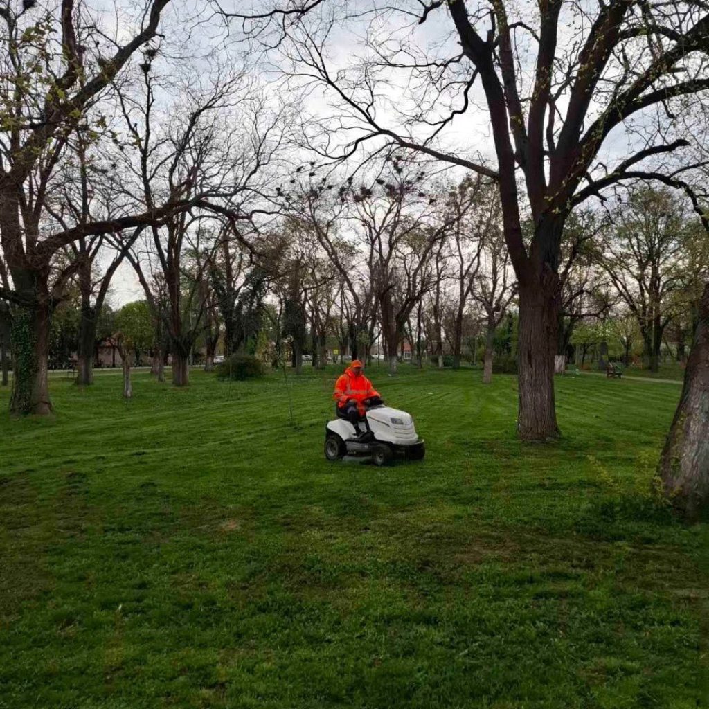 Фото: ЈКП "Услуга"