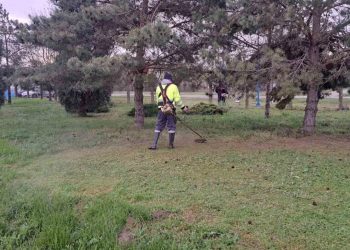 Интензивни радови на кошењу јавних зелених површина у Оџацима