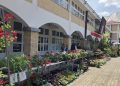 Ове године богатија „Цветна пијаца“ у Оџацима