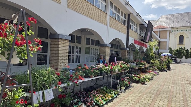 Ove godine bogatija „Cvetna pijaca“ u Odžacima