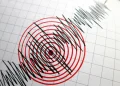 Foto: Shutterstock.com/menur, ilustracija