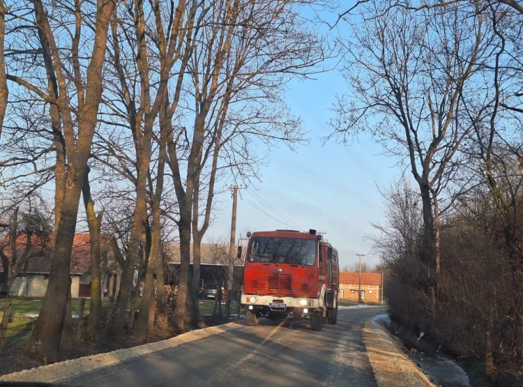 Фото: ТАЊУГ/БРАНКО ЛУКИЋ