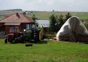 Foto: TANJUG/ALEKSANDAR NIĆIFOROVIĆ
