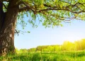 Foto: Shutterstock.com/Dudarev Mikhail, ilustracija