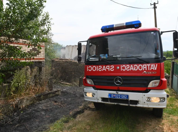 Фото: ТАЊУГ/ДИМИТРИЈЕ НИКОЛИЋ