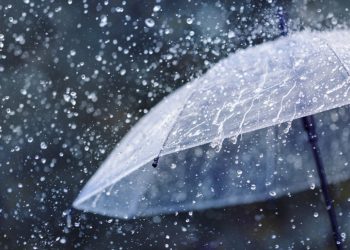 Foto: Shutterstock.com/Julia Sudnitskaya