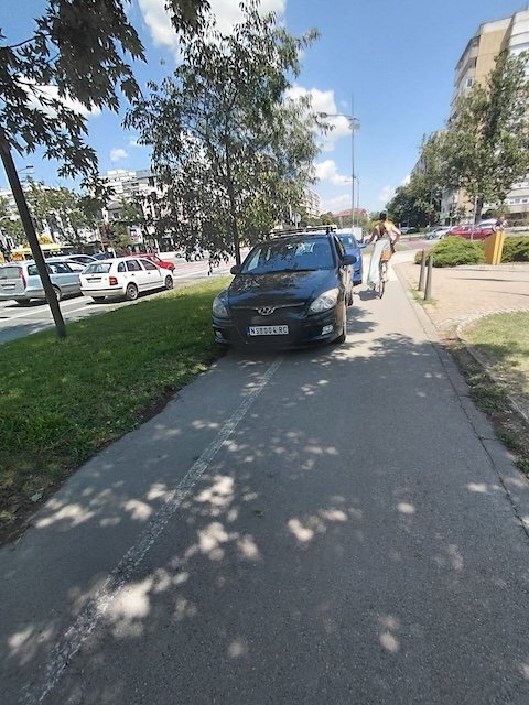 Фото: nsuzivo.rs
