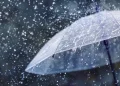 Foto: Shutterstock.com/Julia Sudnitskaya