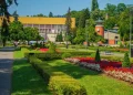 Foto: Shutterstock.com/Nikola_Goga, ilustracija