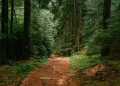 Foto: Shutterstock.com/TkropkaR, ilustracija