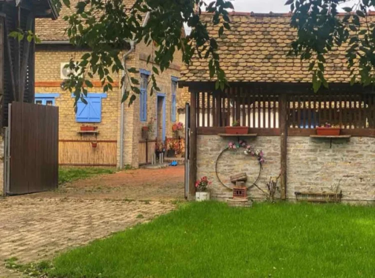 Фото: ТАЊУГ/Сашка Дробњак