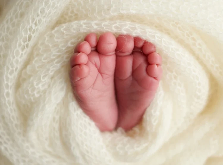 Foto: Shutterstock.com/Vad-Len