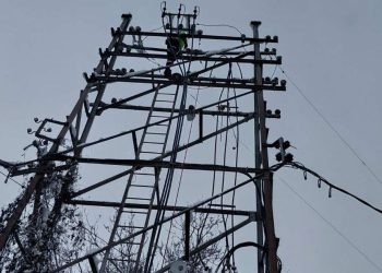Фото: ТАЊУГ/Електродистрибуција Србије/ Центар за односе с јавношћу