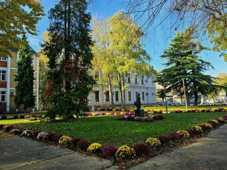 Фото: општина Оџаци