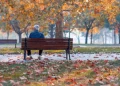 Foto: Shutterstock.com/stefanphotozemun, ilustracija