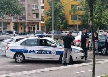 Фото: ТАЊУГ/САШКА ДРОБЊАК