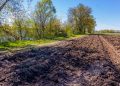 Фото: Схуттерстоцк.цом/Фото Пара Ти, илустрација