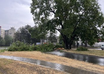 Фото: ФОТО ТАЊУГ/Синиша Копуновић