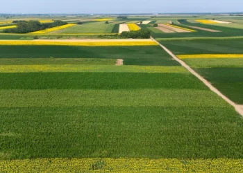 Foto: shutterstock.com/Jana Milin, ilustracija