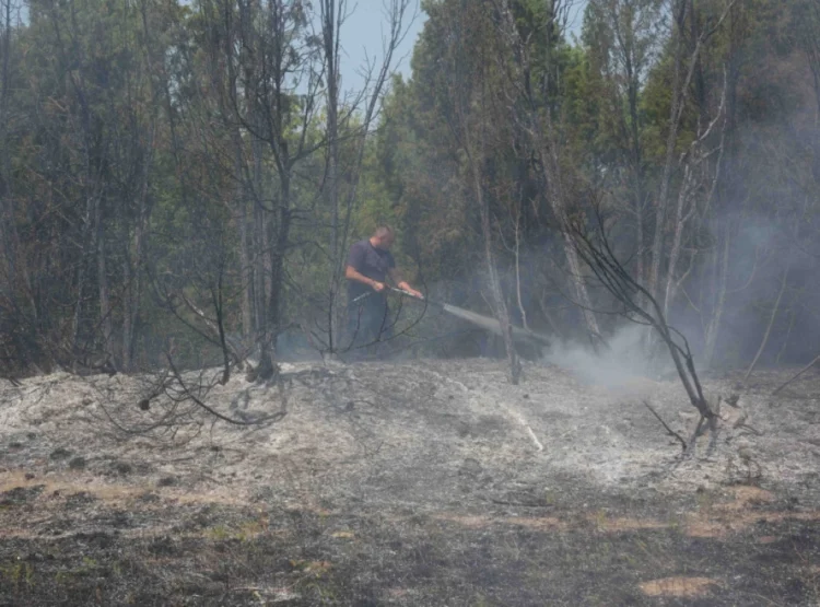 Foto: TANJUG/OMK MUP REPUBLIKE SRBIJE