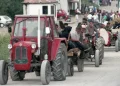 Фото: Тањуг/В. Димитријевић, архива