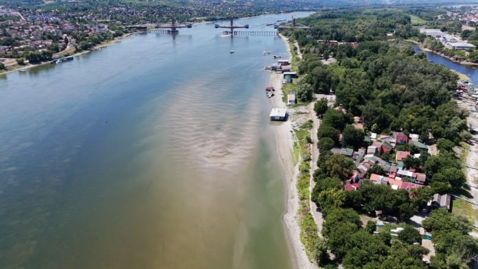 Фото: НСУЖИВО.РС