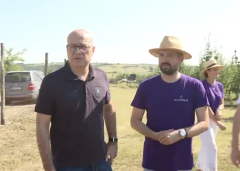 Foto: tanjug video