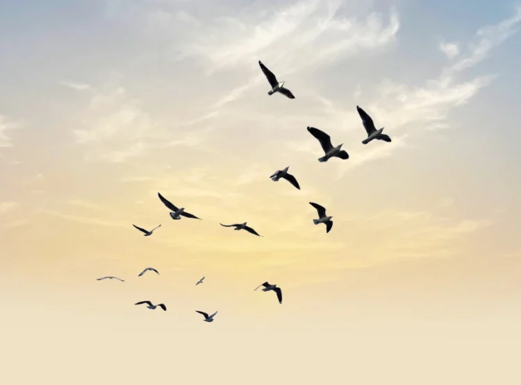 Foto: Shutterstock.com/DOERS/Ilustracija