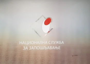 Foto: Shutterstock.com/VladaKg03, ilustracij