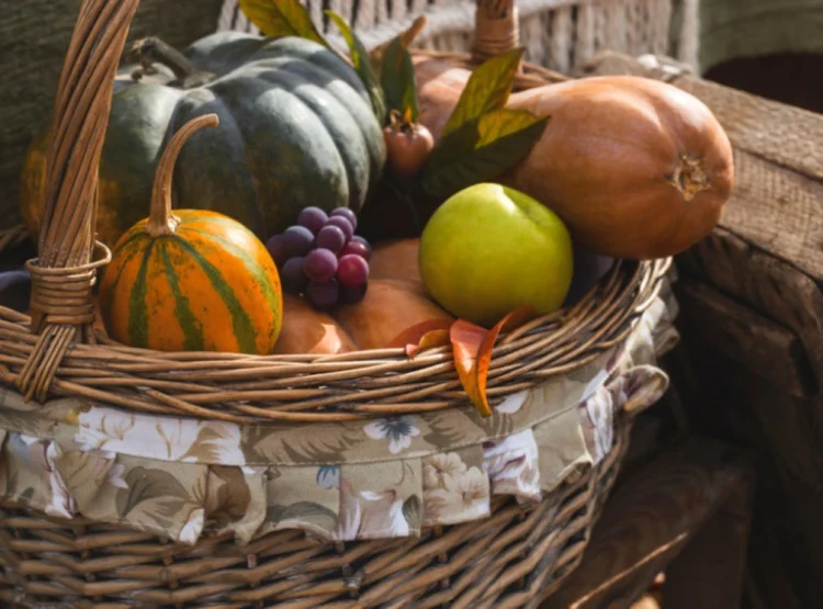 Foto: Shutterstock.com/svitlini, ilustracija