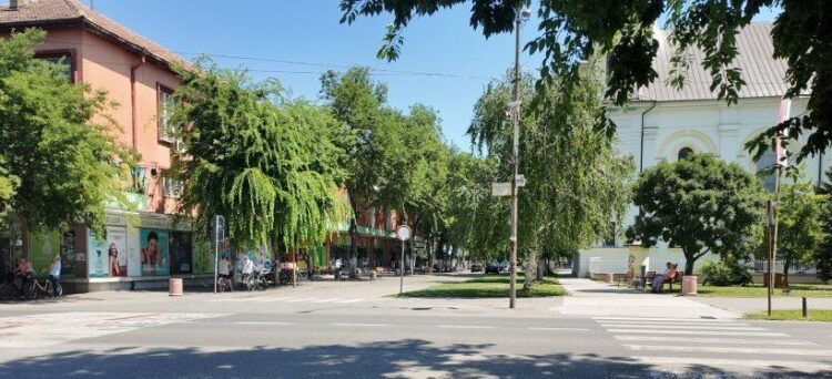 Фото: Оџаци у фокусу
