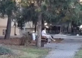 ФОТО: БАЧКИ ПЕТРОВАЦ ИНФО
