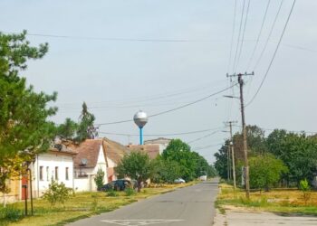 Фото: Оџаци у фокусу