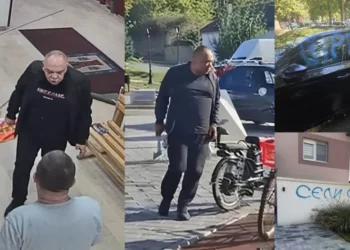 Foto: Vojvodina uživo