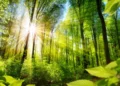 Foto: Shutterstock.com/Smileus, ilustracija