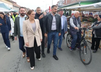 Foto: TANJUG/GRAD NOVI SAD