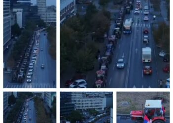Фото: нсузиво.рс